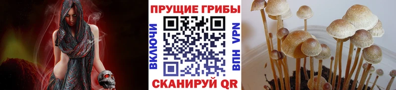 Псилоцибиновые грибы Psilocybine cubensis  дарнет шоп  Юрьевец 